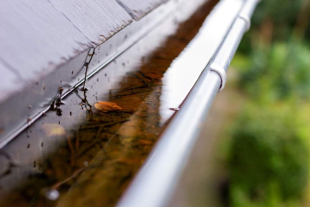 A blocked gutter filled with water and debris on a residential roof, showing a common cause of spouting overflow emergencies.
