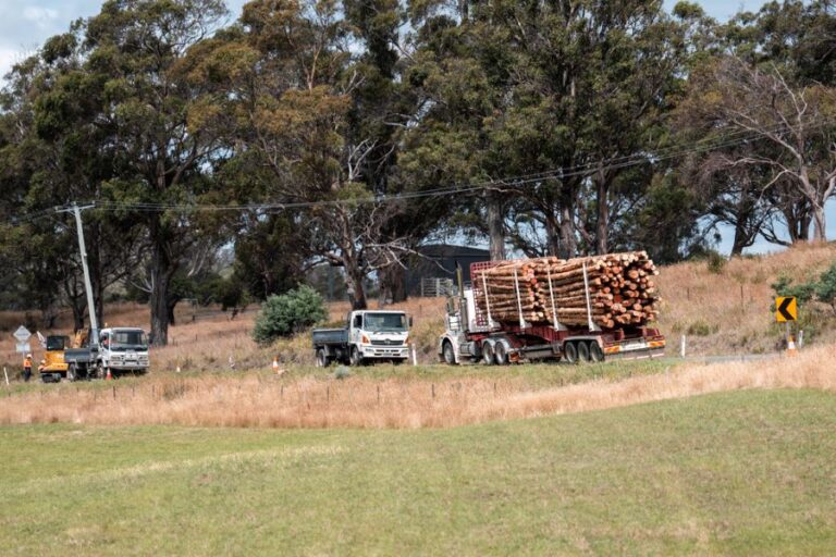 Logging truck carting timber in australia on the highway