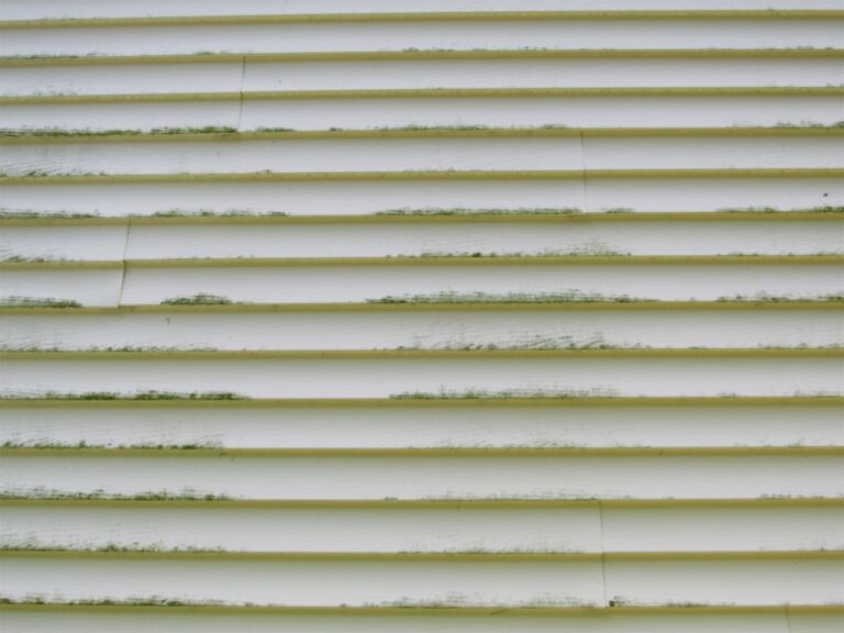 Green algae and grime build-up on exterior house cladding, showing why regular house washing is needed in homes.